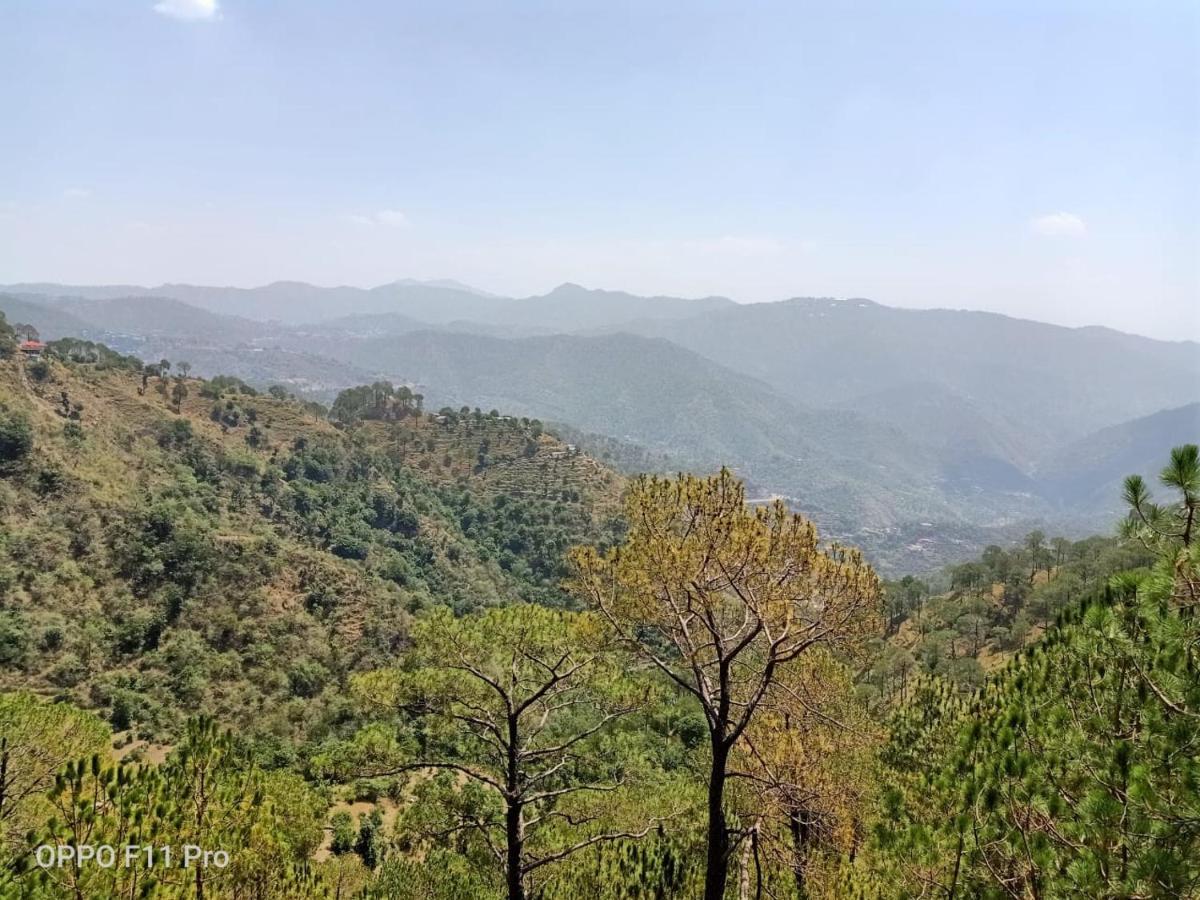 Pine Peak Kasauli Exterior foto