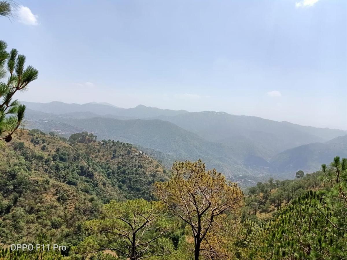Pine Peak Kasauli Exterior foto
